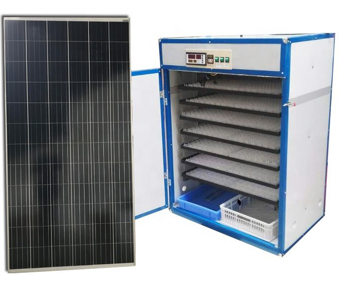 "Cheap HB Poultry Egg Incubator for efficient hatching with easy operation and reliable temperature control."