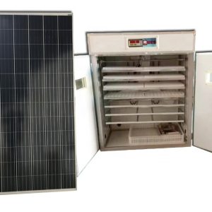Cheap HB Poultry Egg Incubator