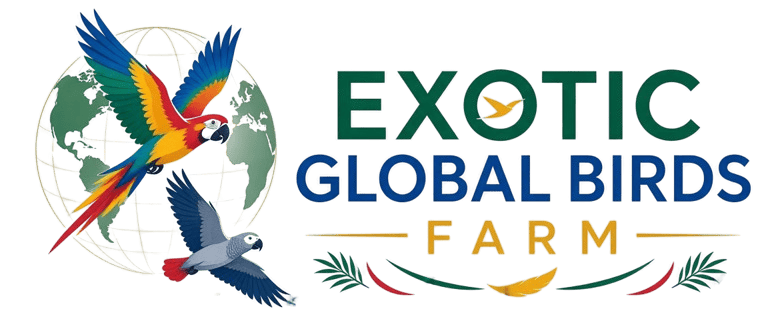 Exotic Global Birds Farm